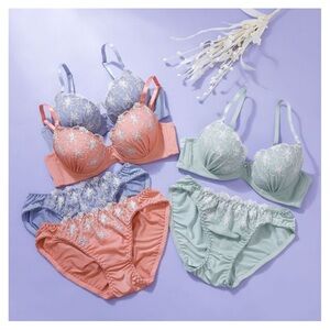 Set of 2 Japanese brand glittery embroidered shiny nylon panties JP-M / US-S